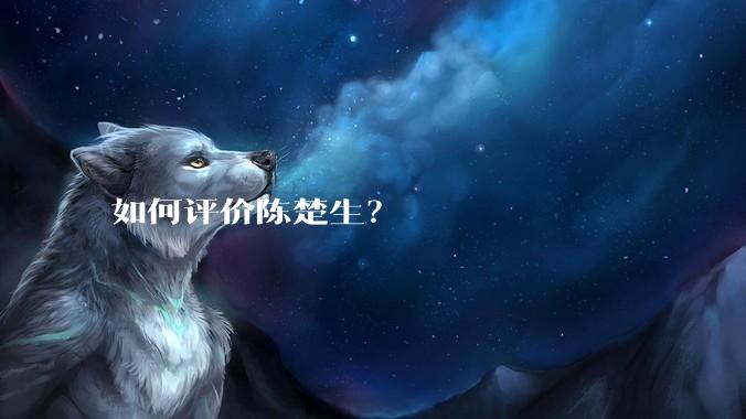 如何评价陈楚生？